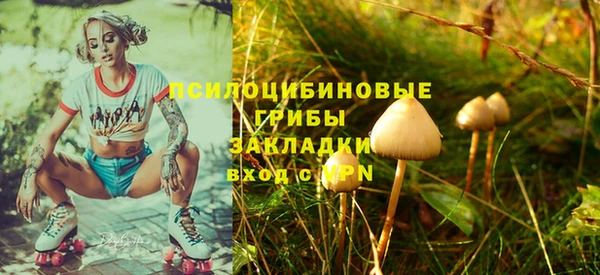 PSILOCYBIN Алексеевка